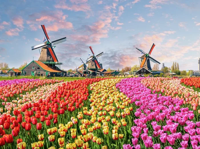 Cykeltur i Holland