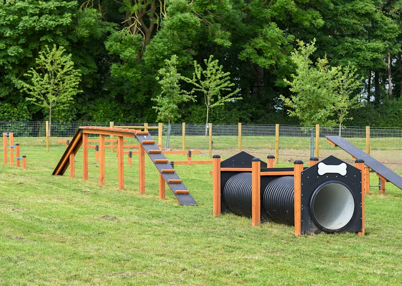 Dog agility course at Angrove holiday park (GROE) in Great Ayton, Yorkshire, England, UK