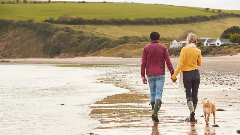 Rear View Of Loving Couple With Pet Dog Holding Hands Walking Along Beach Shoreline
