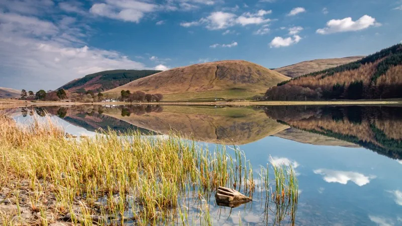 Loch of the Lowes Reflections, near Moffat