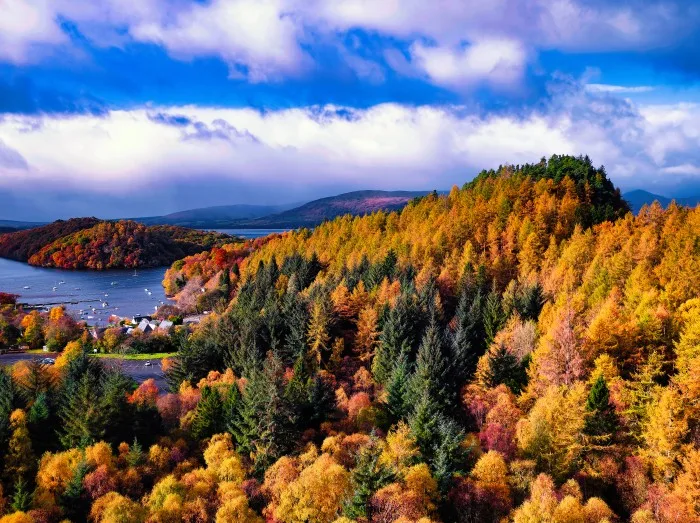 Autumn's Glory In Scotland