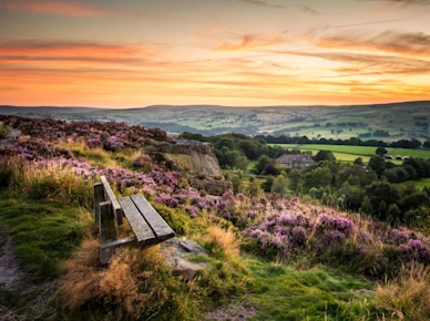 Yorkshire Countryside