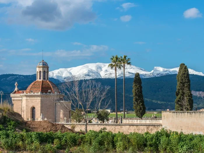 Urlaub in der Finca in Sa Pobla auf Mallorca.