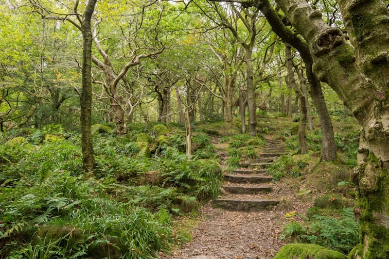 Padley Gorge, Peak District National Park in autumn