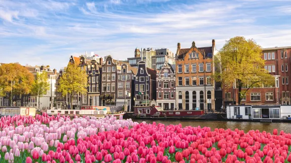Amsterdam, Niederlande, Skyline der Stadt, holländisches Haus am Kanal mit Frühlings-Tulpenblüten.
