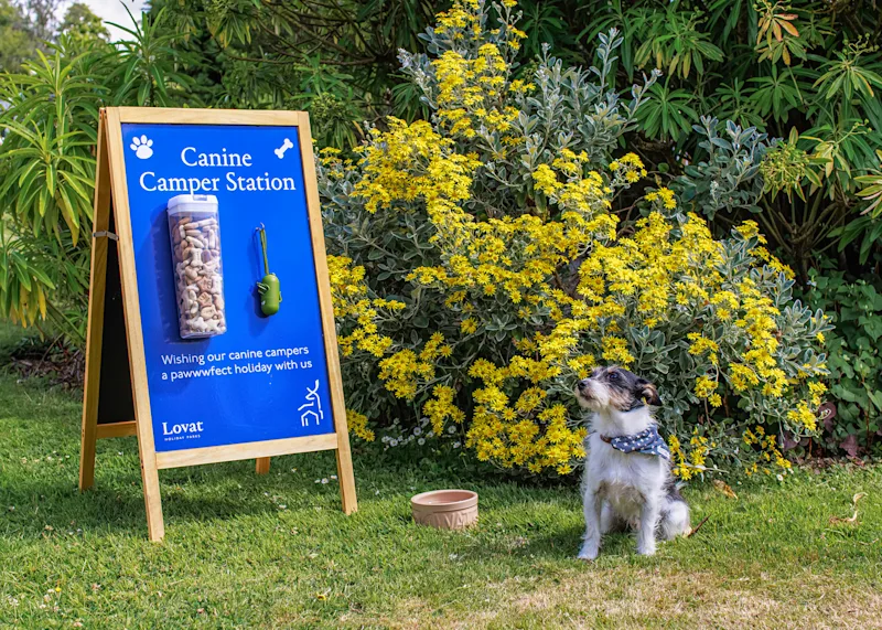 Dog-friendly facilities at Parbola Holiday Park (PAHP) in Hayle, Cornwall, England, UK