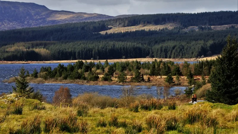 Galloway Forest Park