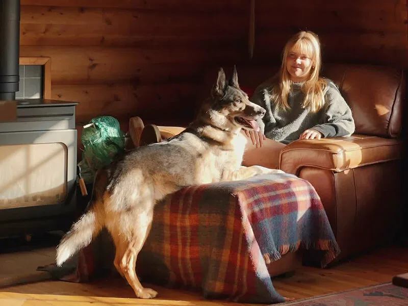 Dog Friendly Cottages