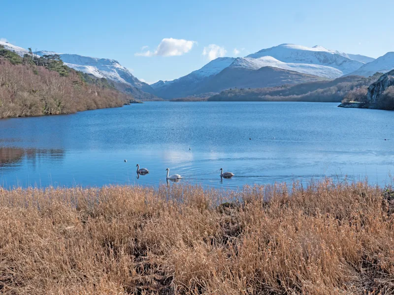 Wintery views around Llyn Padarn in Eryri (Snowdonia), Wales, UK