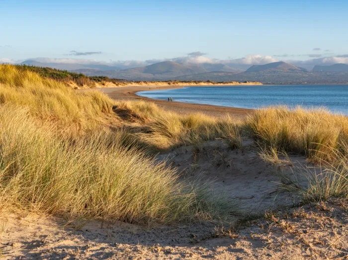 Llanddwyn Island and newborough forest walk Anglesey