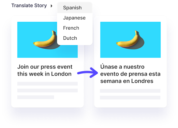 CMS publish content-languages@2x