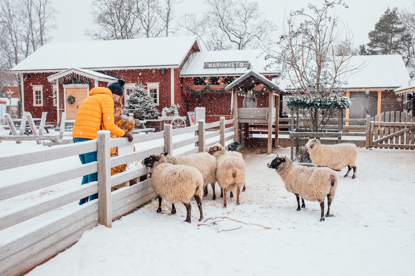2021-Koiramaen-Joulu C HeidiMaenpaa-8777 Perhe Koiramäen joulussa.
