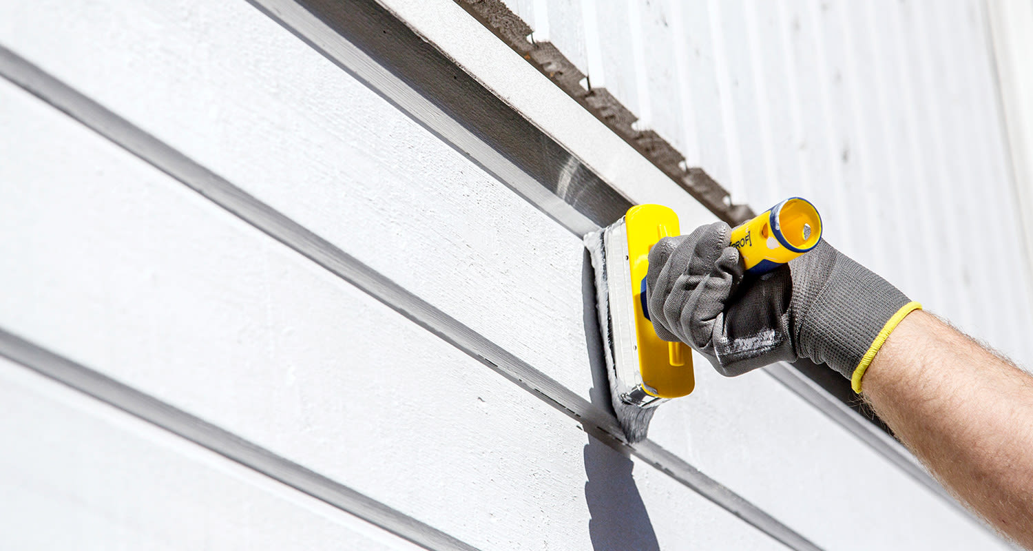 valkoisen talon maalaus