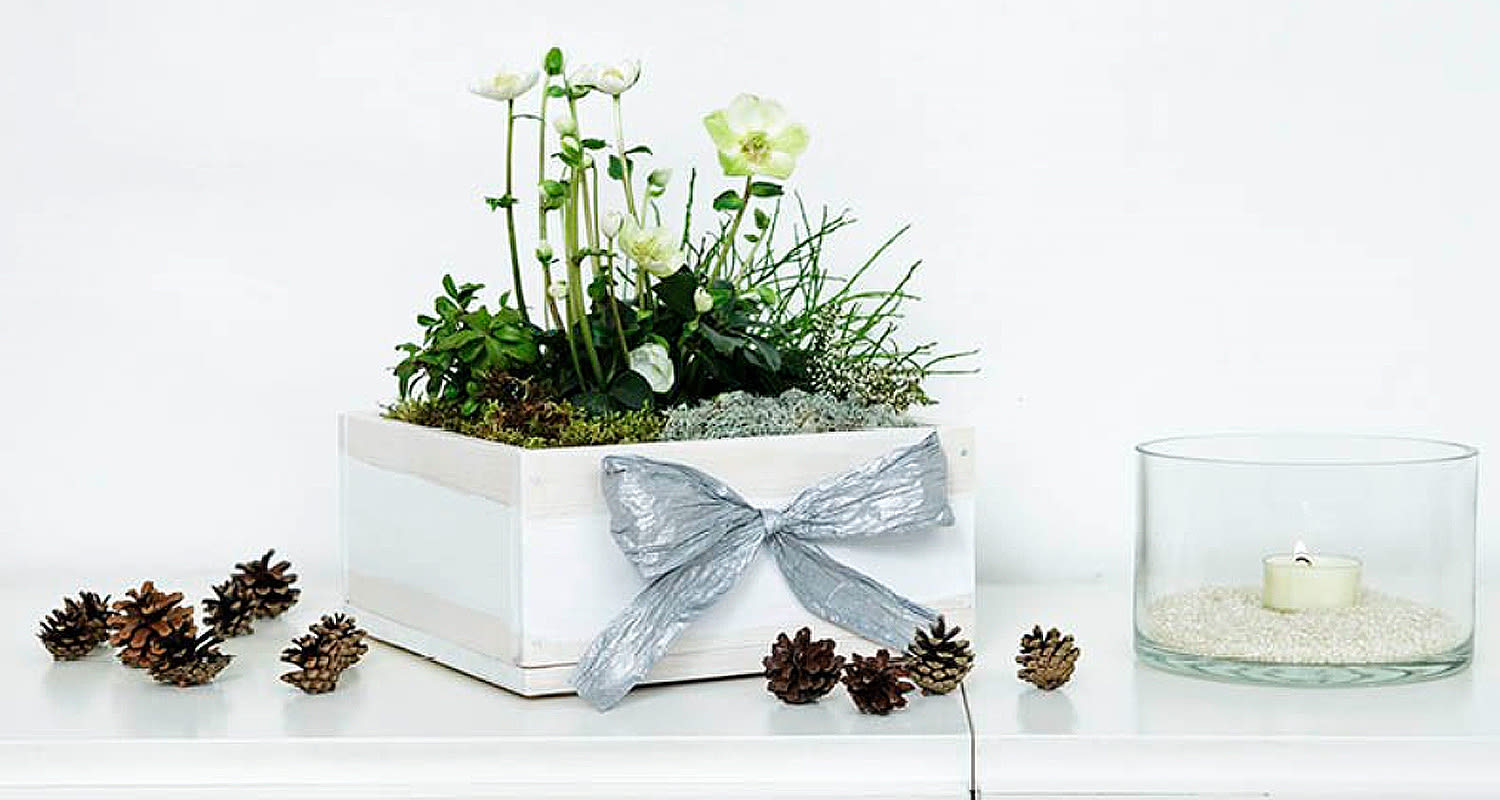 Matala ja neliön mallinen puinen kukkalaatikko, katso teko-ohje!