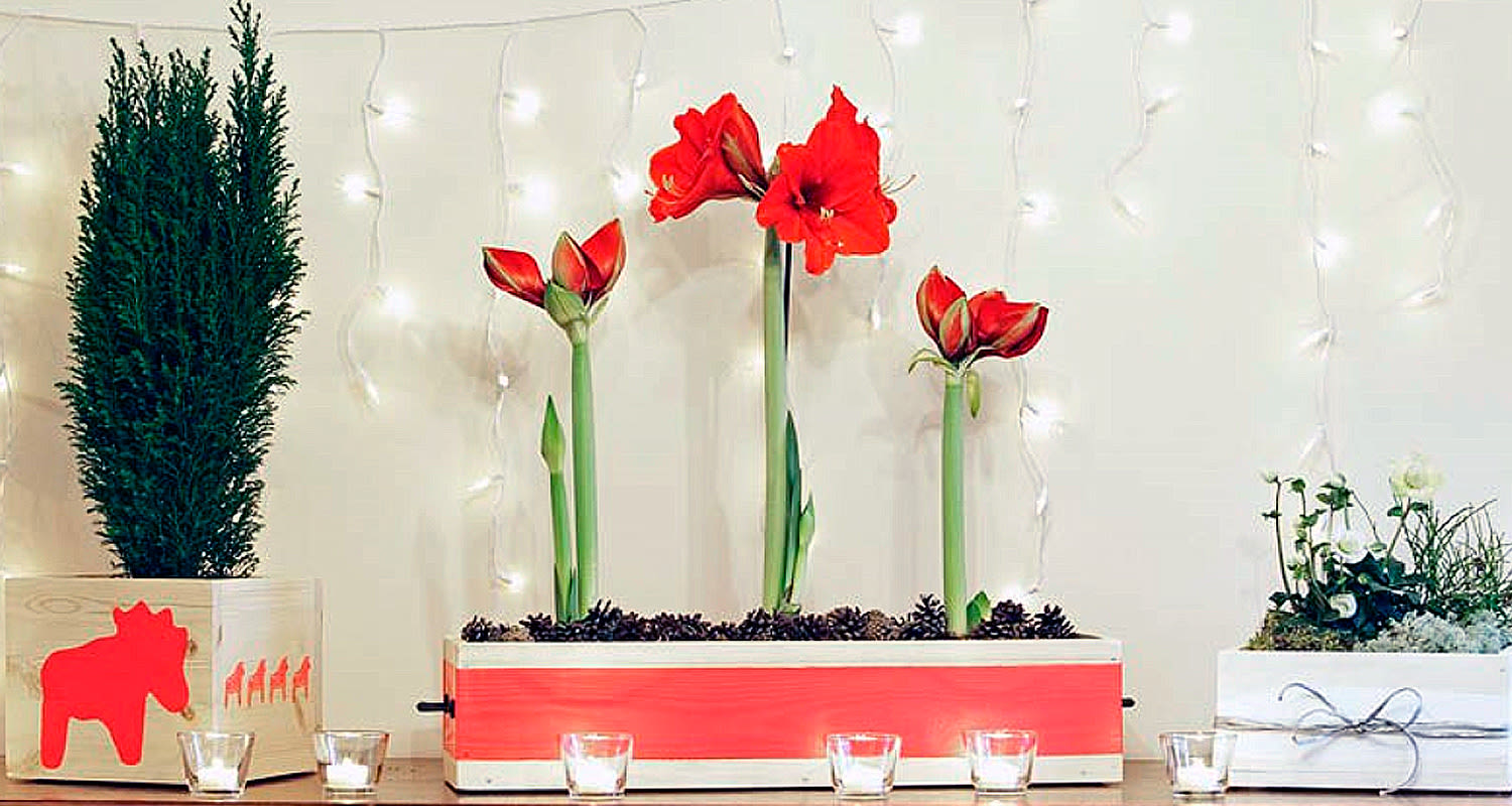 Erilaiset puiset kukkalaatikot: kuution mallinen, pitkulainen ja luminen, katso teko-ohjeet!