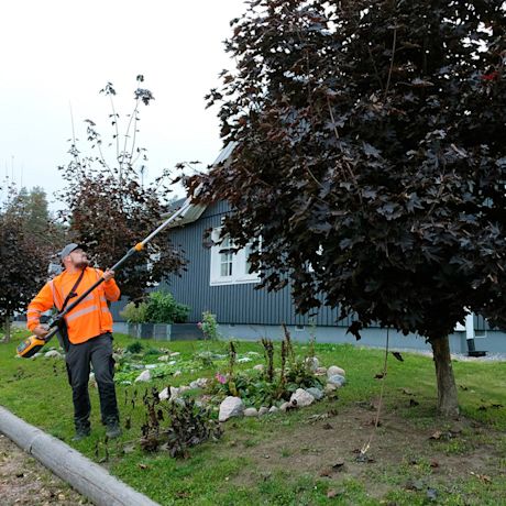 Pensaiden karsinta käynnissä akkumonitoimityökalu Stiga MT 500E Kit -työvälineellä. Tuotetta myy K-Rauta.