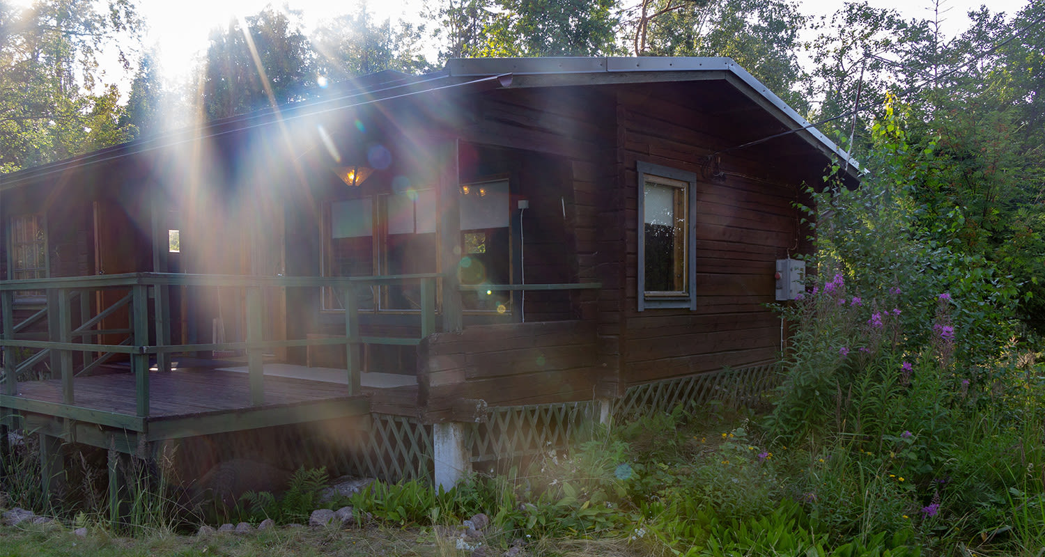 Aurinko siivilöityy metsässä olevan ruskean hirsimökin vihreälle terassille ja pinkkejä kukkia