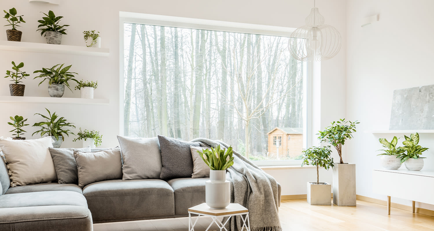 Vaalea olohuone harmaalla kulmasohvalla, tulppaaneja, viherkasveja ja iso ikkuna metsään