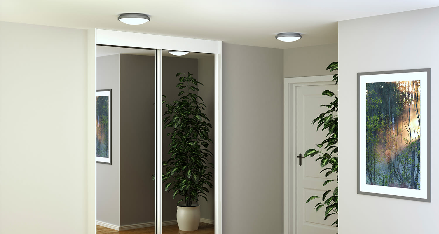 Vaalea eteinen peililiukuovikaapilla, valkoinen ovi, vihreät huonekasvit ja metsämaisemataulu.