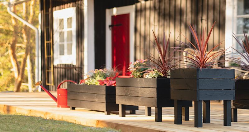 Aurinkoisella terassilla mustia kukkaruukkuja punaisilla kasveilla ja punainen kastelukannu