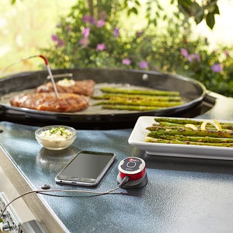 millainen-paistomittari-grilliin-k-rauta-hm