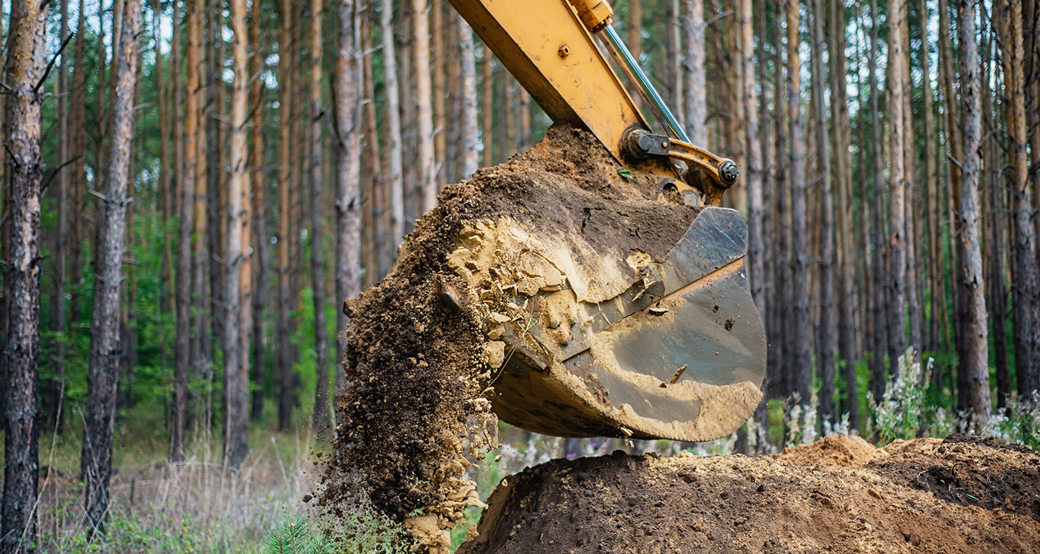 Keltainen kaivinkoneen kauha kaataa ruskeaa multaa mäntymetsän edessä