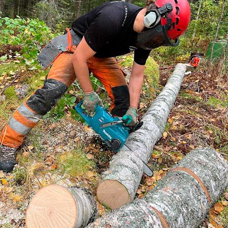 Puunrungon pilkkomien Makitan UC014GZ 40V XGT -mallin moottorisahalla menossa