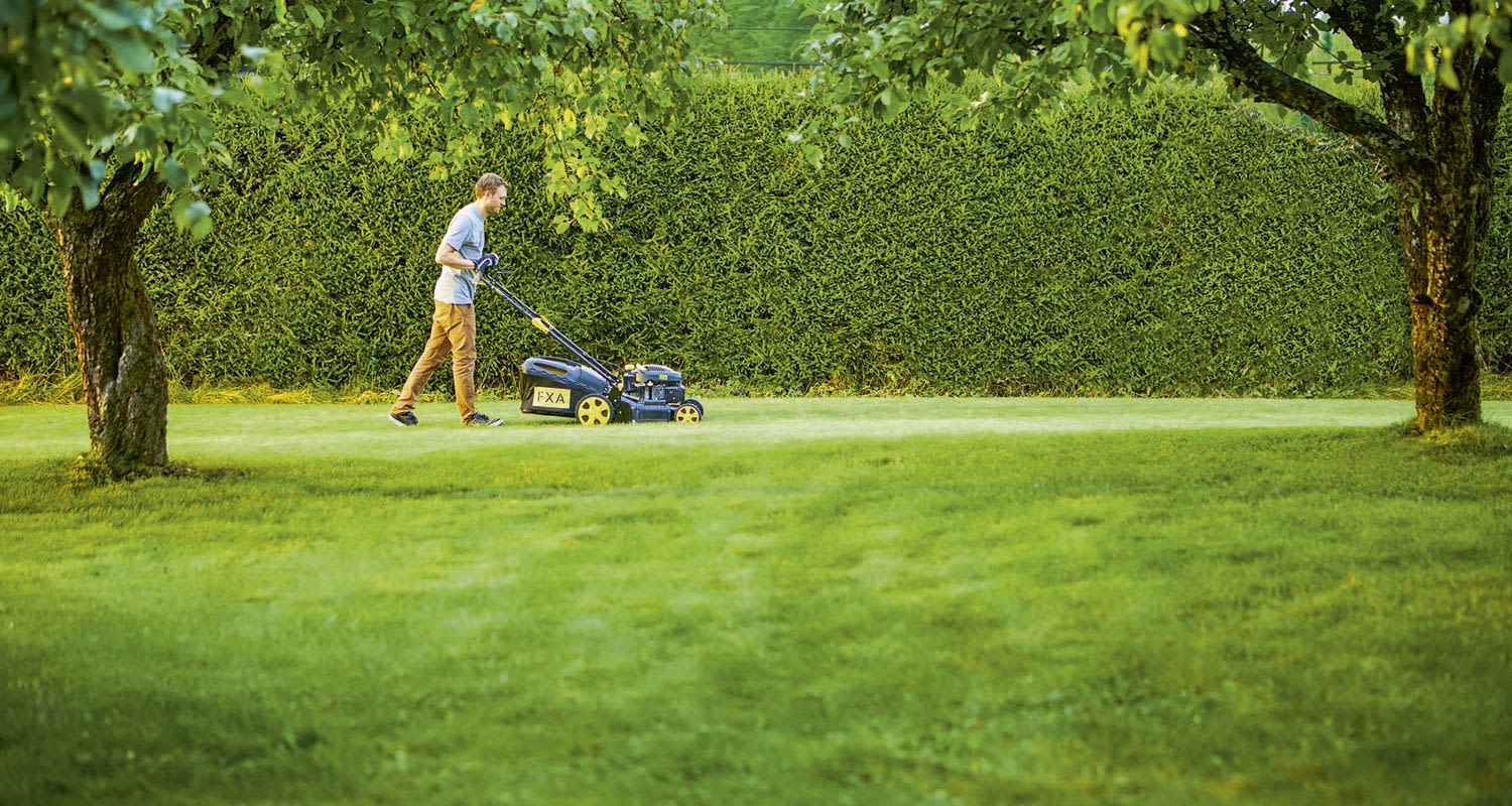 Henkilö leikkaa nurmikkoa ruohonleikkurilla vihreän pensasaidan ja puiden keskellä