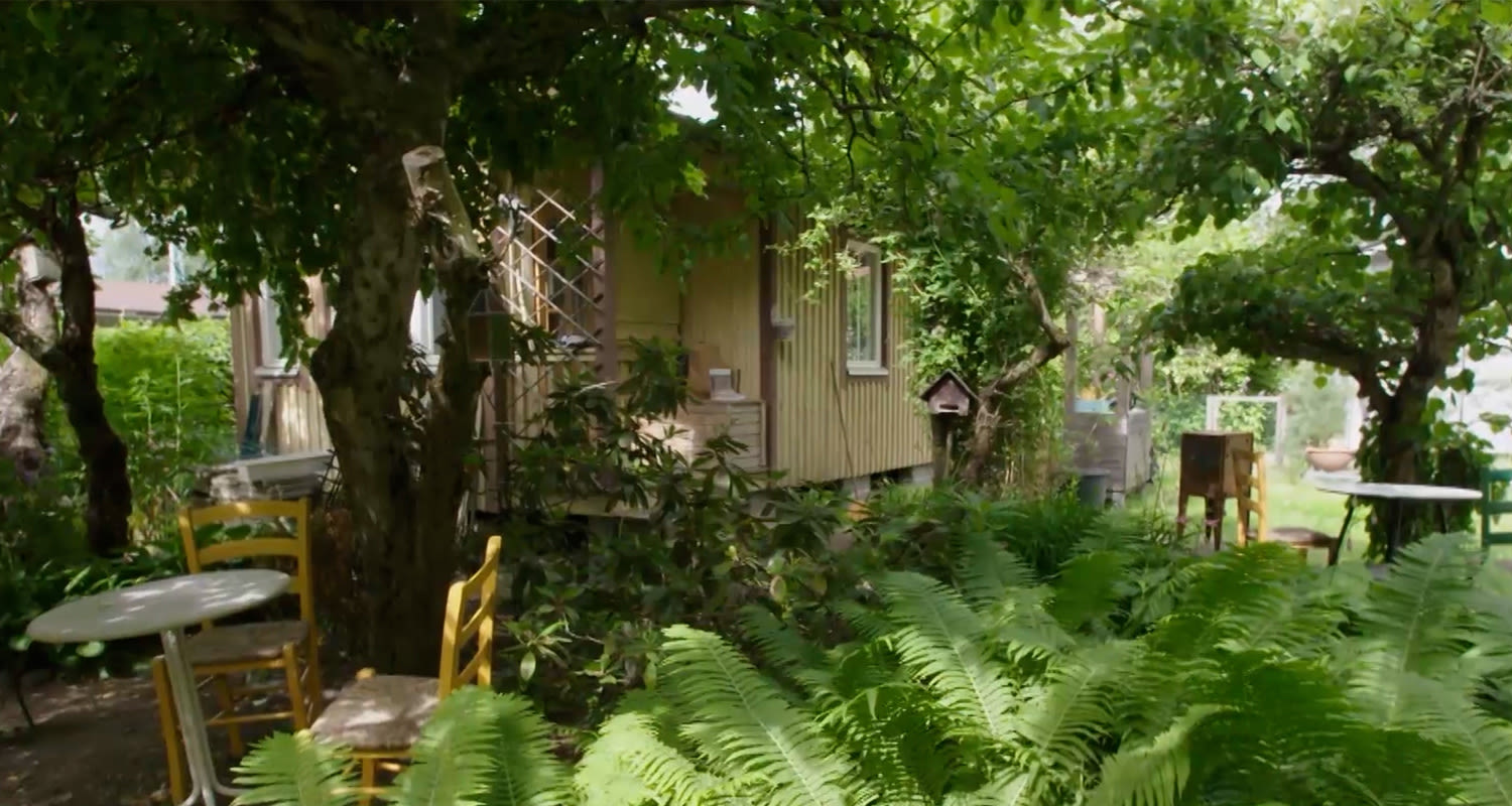 Vihreiden saniasten ympäröimä puutarhanurkka: keltainen tuoli ja valkoinen pöytä.