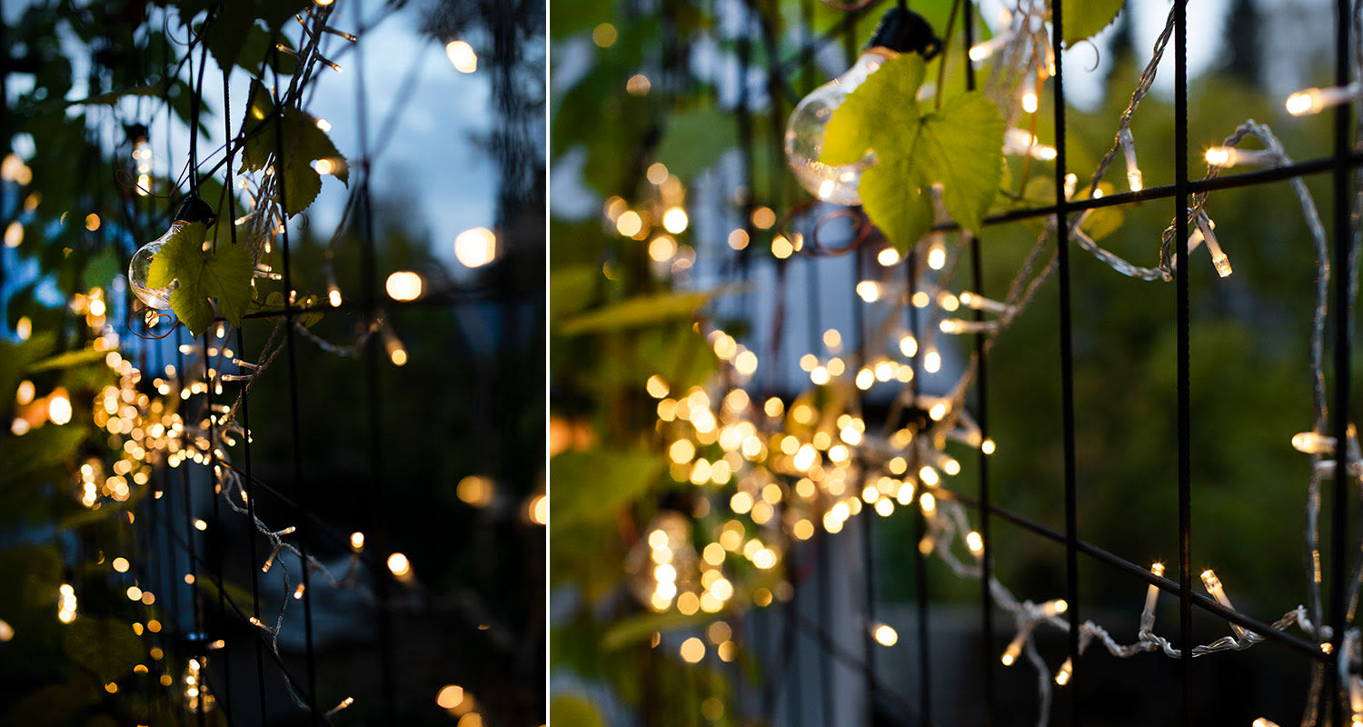 Raudoitusverkko aitana, jossa valosarja