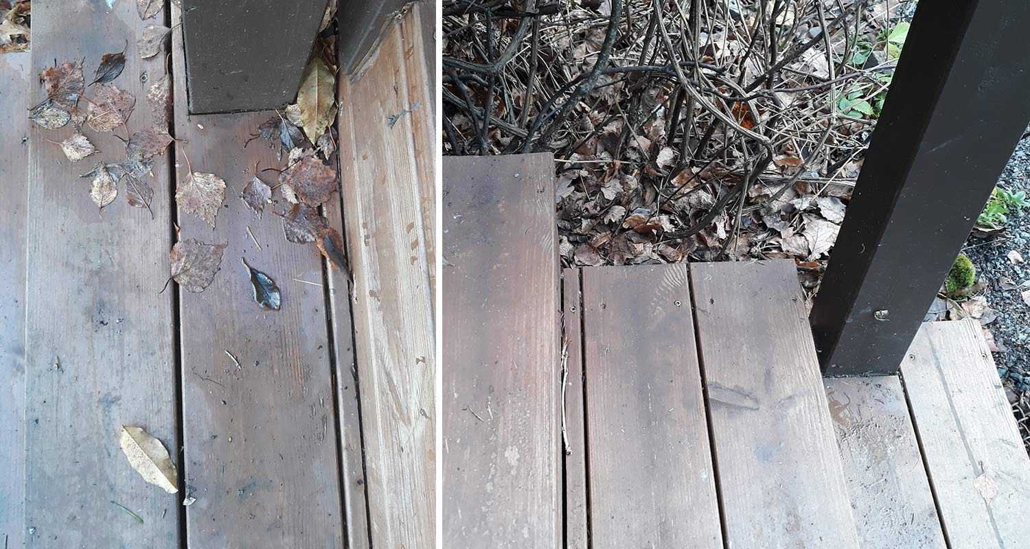 Portaat ennen puhaltimen käyttöä ja sen jälkeen. Käytössä oli akkulehtipuhallin Stiga BL 500E Kit. Tuotetta myy K-Rauta.