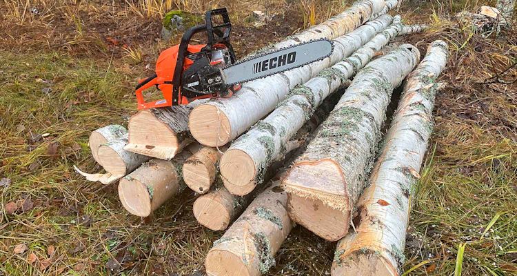 Testissä puiden sahauksessa Echo-moottorisaha mallia CS 4920, saha myynnissä K-Raudassa