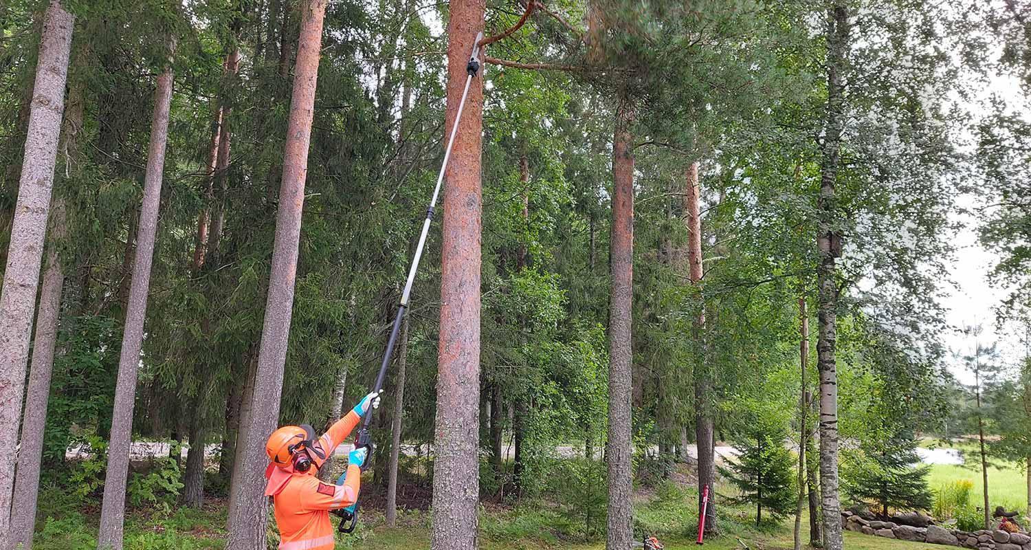 Ammattilaisen tuotetestissä Makitan teleskooppinen akkuketjusaha, jolla puun oksien sahaus hoituu maasta käsin.