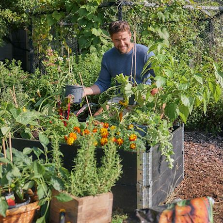 Puutarhan kasvien hoito käynnissä vehreässä puutarhassa