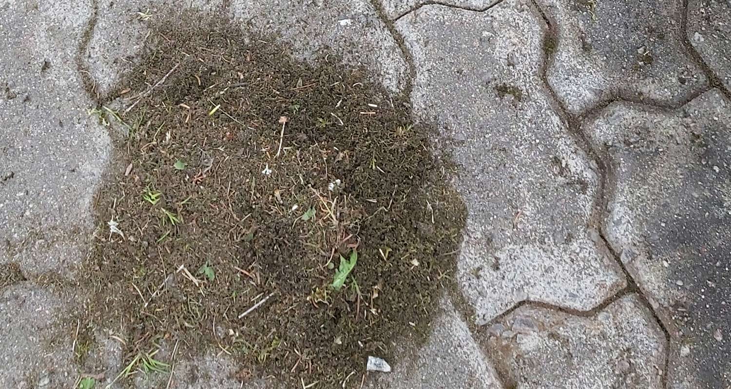 Pihakivien saumaharjauksesta syntynyt jätös