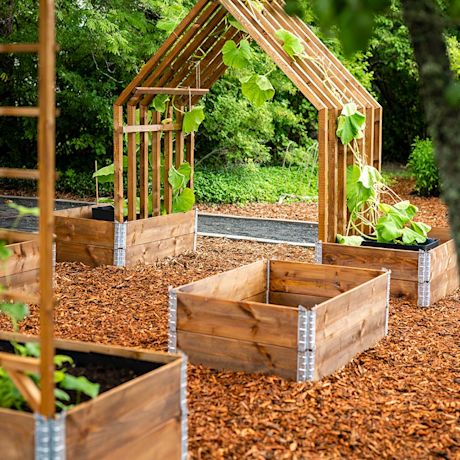 Siisti lavakauluspuutarha, jossa kaunis köynnöstuki