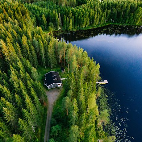 Ilmakuva: tummakattoinen mökki vihreiden kuusien ympäröimänä niemessä, laituri sinisellä järvellä.