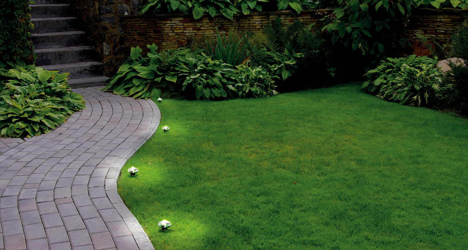 Kaareva harmaa kivipolku valaistu maanpainovalaisimilla vihreän nurmikon ja lehtikasvien vierellä.