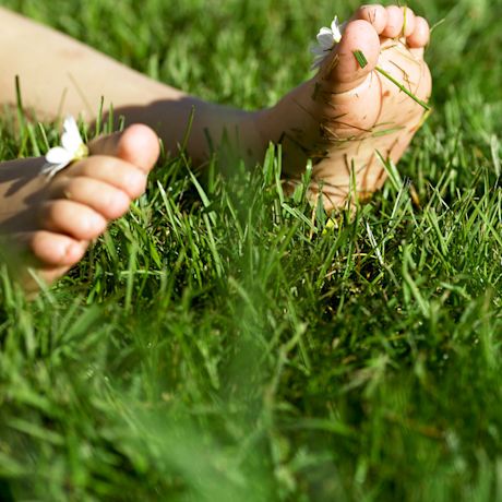 Paljaat jalat vihreässä ruohikossa, varpaissa valkoinen päivänkakkara.