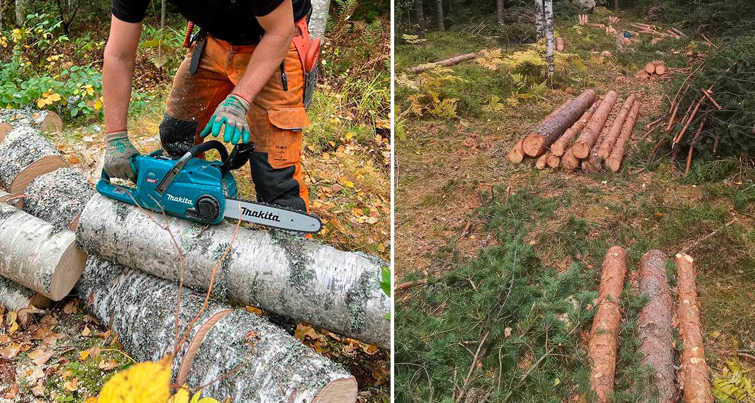 Makitan akkuketjusahan (malli UC014GZ 40V XGT) kanssa metsätöissä