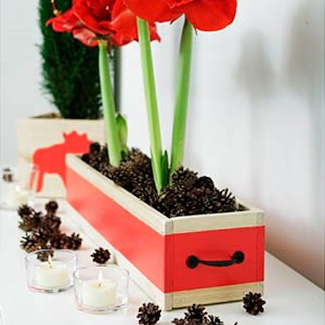 Pitkulainen puinen ja punaisella maalattu kukkalaatikko joulukukille