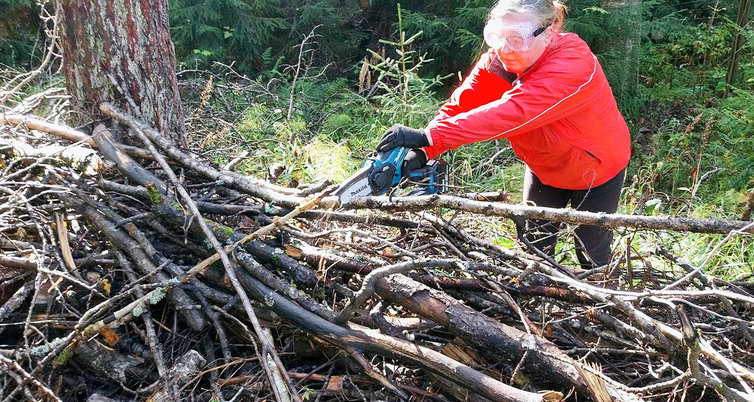 Oksien sahaus käynnissä Makitan akkuoksasaha DUC101Z 18V LXT -koneella