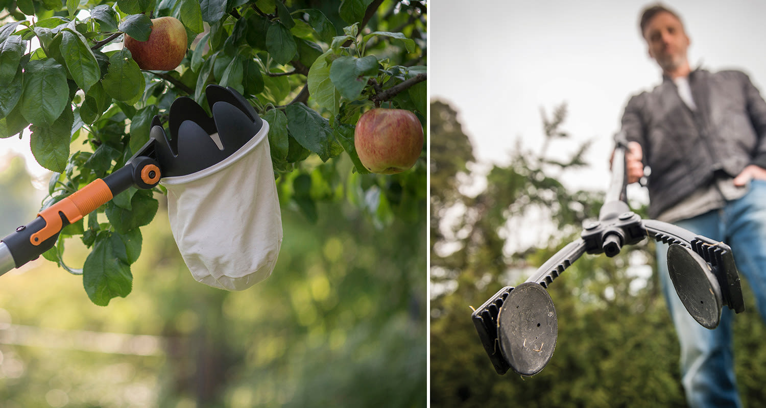 Fiskarsin hedelmäpoimurilla omenat puusta helposti ja roskanpoimijalla roskat maasta