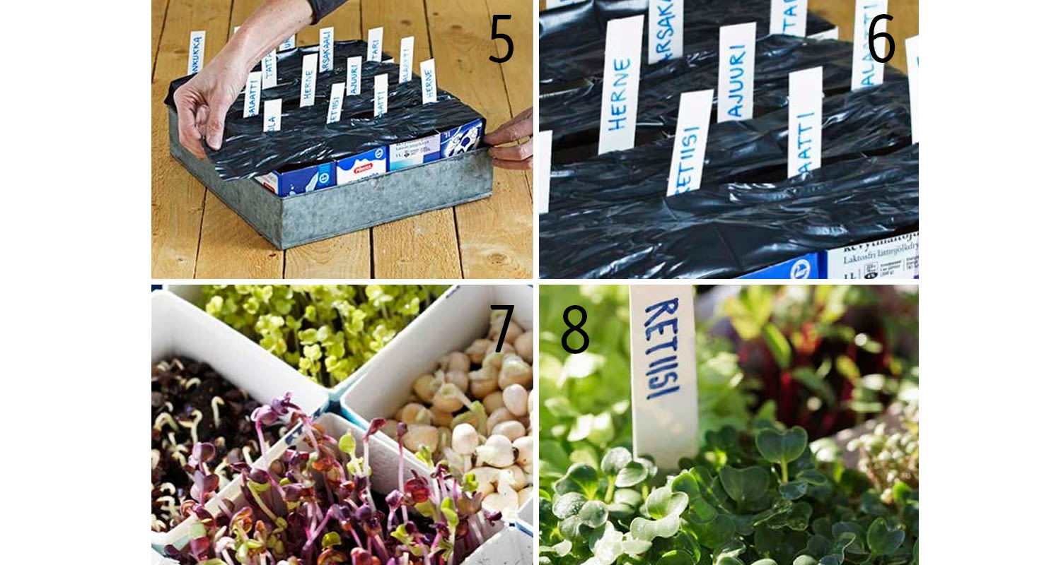 Metallirasia mustan muovin alla, valkoiset kylttitarra-laput ja vihreitä sekä purppuranpunaisia taimia.