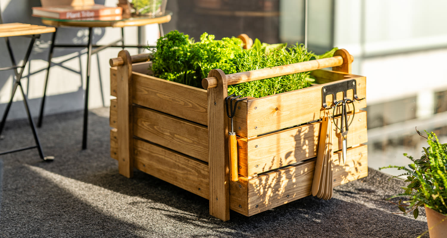 Tee itse kasvatuslaatikko parvekkeelle: Kuvassa valmis kasvatuslaatikko