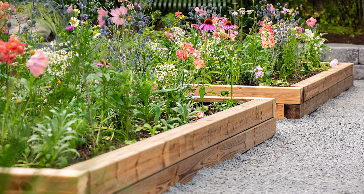 Kukkapenkin perustaminen ja korotetun kukkapenkin rakentaminen.