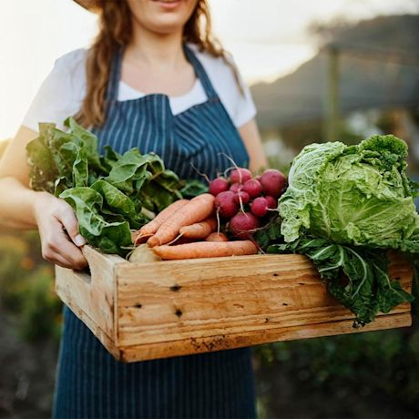 Nainen pitelee puulaatikkoa täynnä oransseja porkkanoita, retiisejä ja vihreitä lehtikasveja.