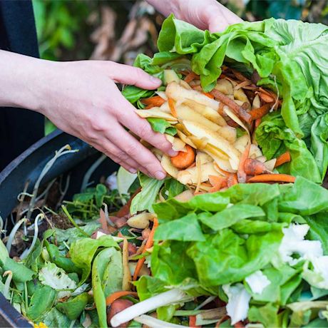 Kädet lisäävät vihreitä salaatinlehtiä ja peruna- sekä porkkanankuoria kompostiin.