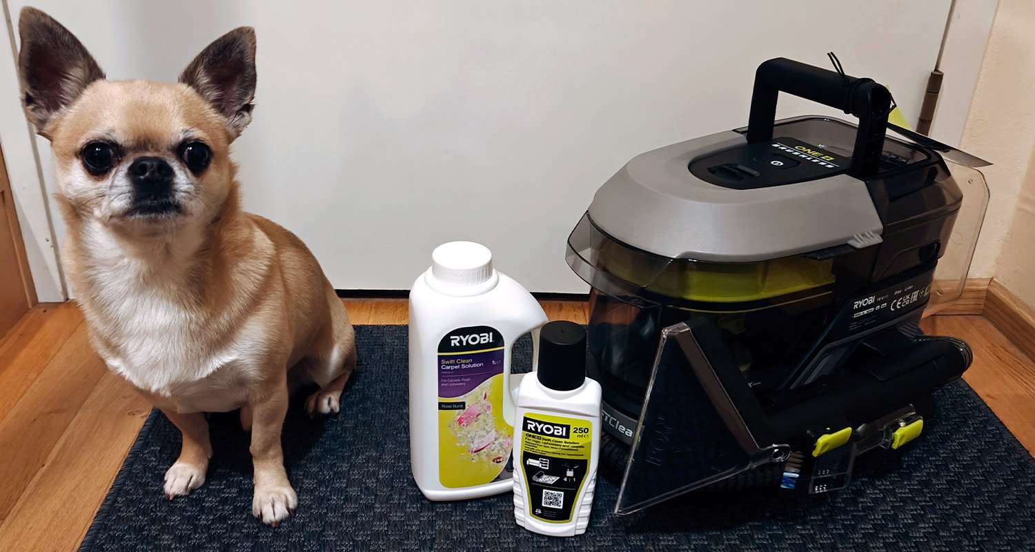 Koira ja Ryobin tekstiilipesuri RDC18BL-0 18V ONE+ kuvassa. Pesuria myy K-Rauta.