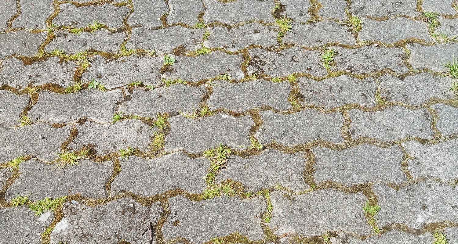 Ässäkivet ennen Ryobin saumaharjalla puhdistamista